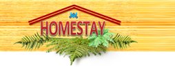 Homestay & Accomodation